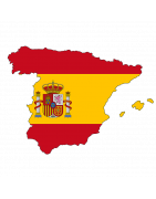Spanish Coin Cufflinks | Genumis